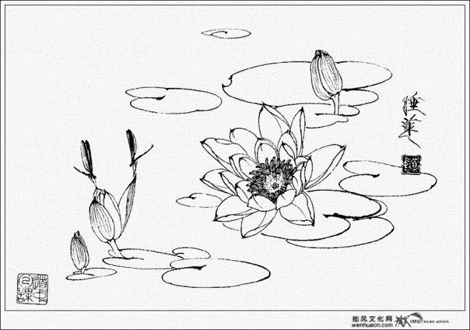 国画线稿