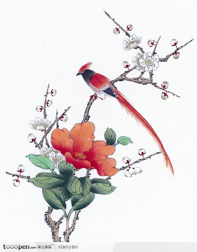 花卉-花瓣网|陪你做生活的设计师 日本传统图案面料图片