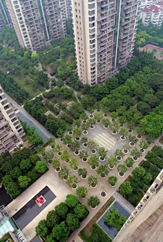 cn莱斯大学brochstein亭_树阵景观_v大学广场_景观设计_图++_图加加4室内设计手机软件有哪些图片