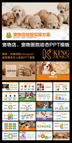 宠物店宠物ppt模板