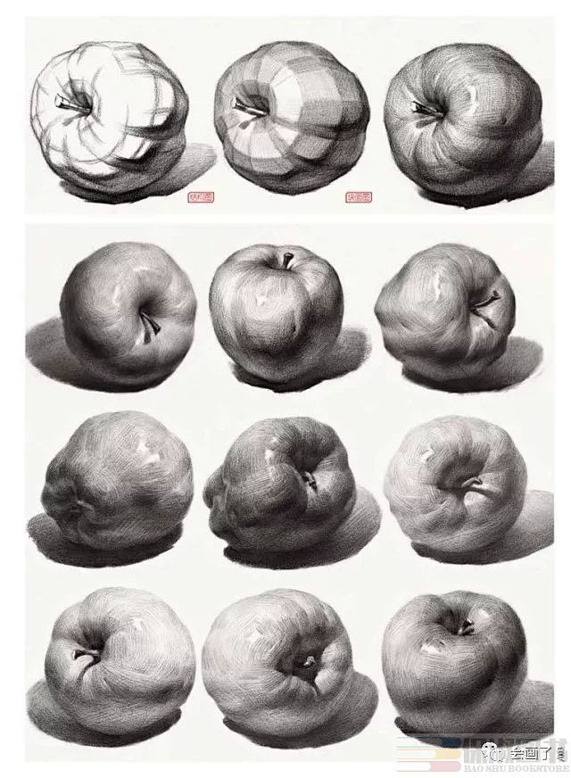 素描静物从结构到明暗基础入门水果蔬菜器皿照片对应写生临摹范本高联