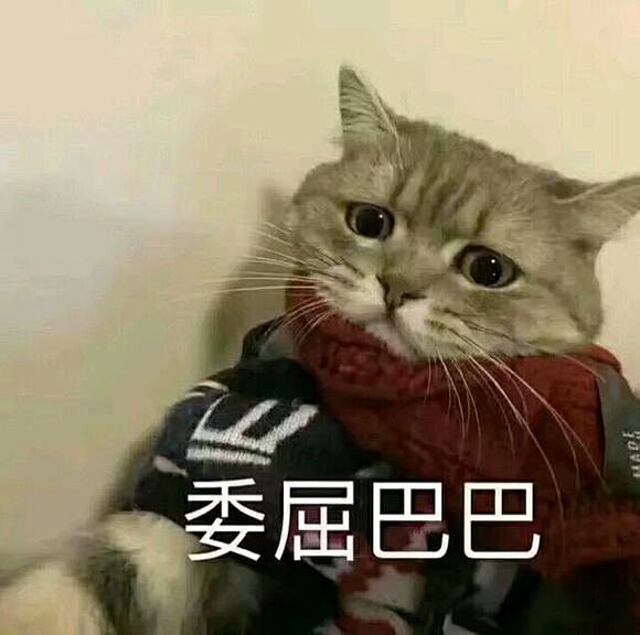 萌(猫咪表情包)