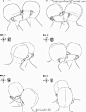 绘画参考接吻姿势参考