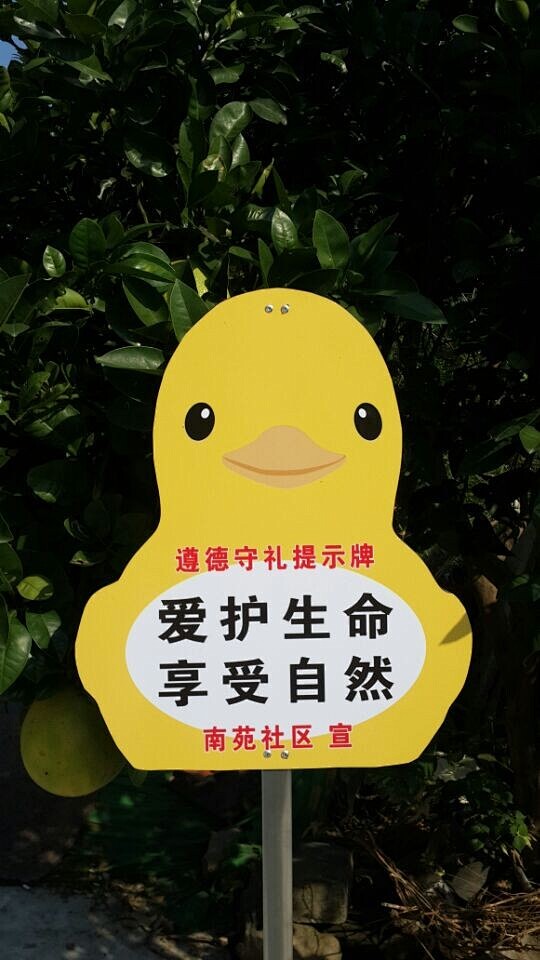 厂家直销景区花草牌法治标语牌小区绿化警示牌校园安全提示牌现货淘宝