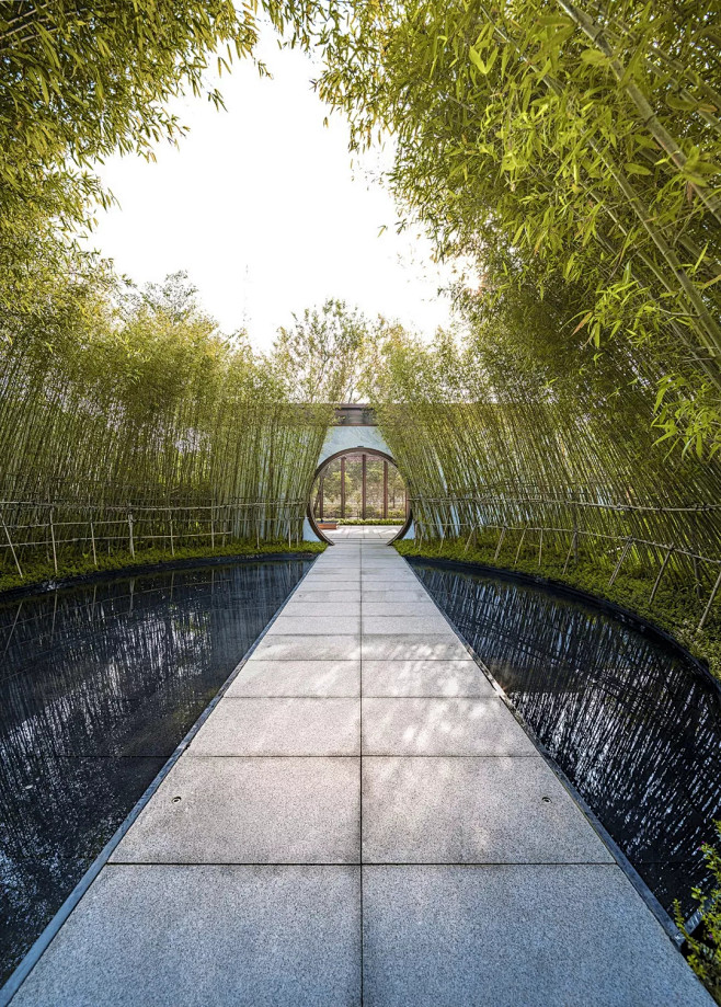 竹子景观-花瓣网|陪你做生活的设计师 | 惠州泰康纪念