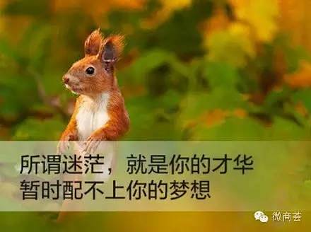 励志文字图片