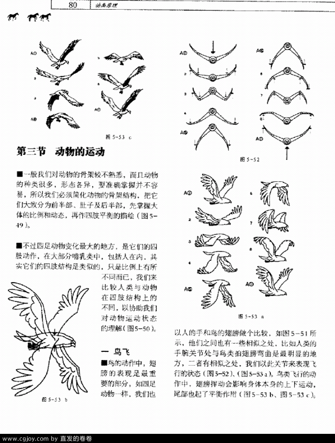 运动规律