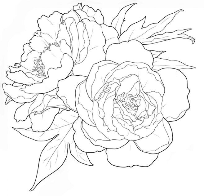 com 百度图片搜索_花朵线稿的搜索结果 image.baidu.