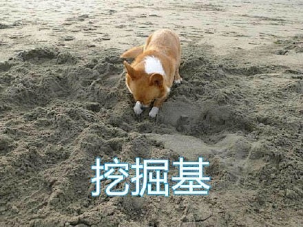 陪你低谷采集到表情包