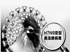 神奇的天书采集到h7n9