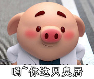 臭猪表情包