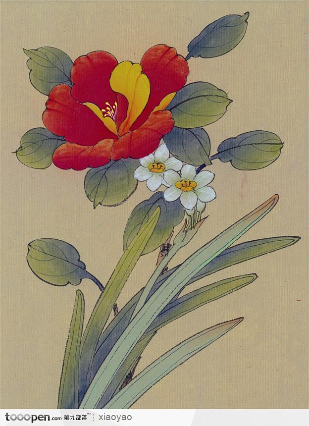 工笔画茶花
