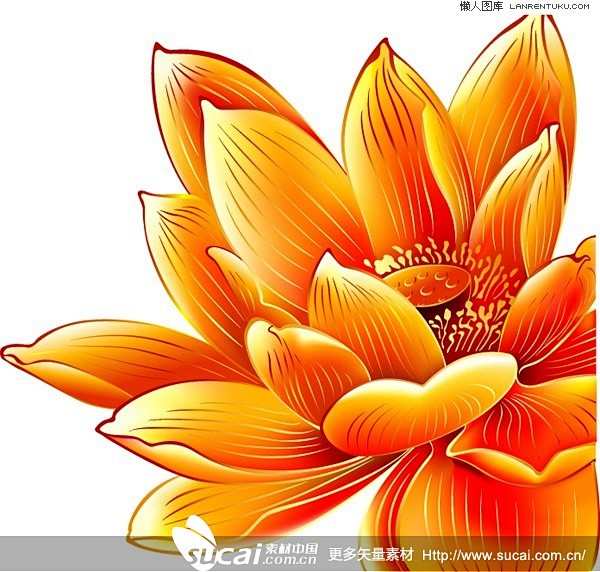 cn 精美金色荷花矢量素材 sucai.com.cn