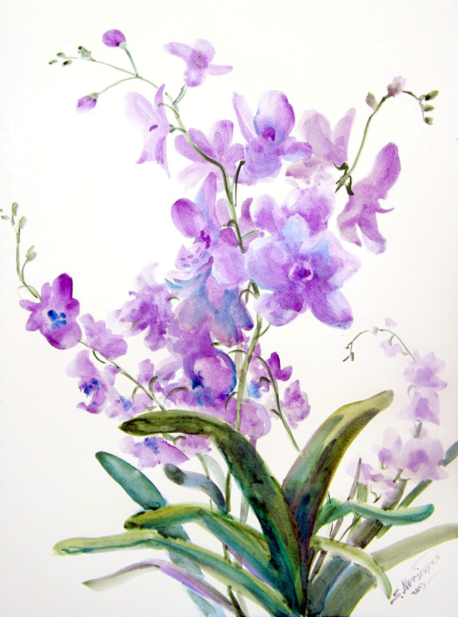 水彩花卉
