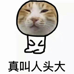 yellow-col采集到表情包