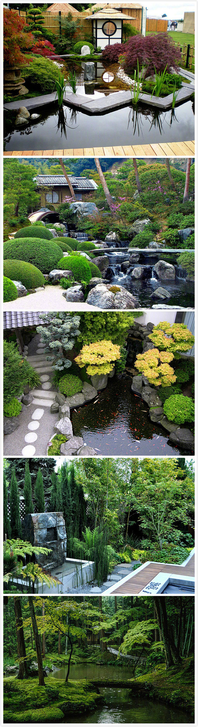 landscape日式景观