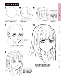 脸的画法 比例/脸型