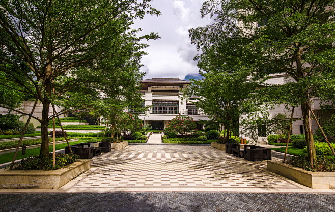 广州泰康植物粤园a植物自然生态树阵休闲广场之家景观设计(sed广告设计是艺术设计吗图片