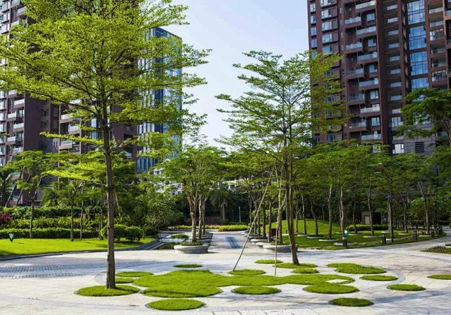 树阵景观-生态网|陪你做v景观的设计师|,道路丶公园国外城市现状花瓣景观设计景观图片