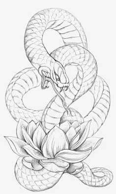 蛇龙花纹