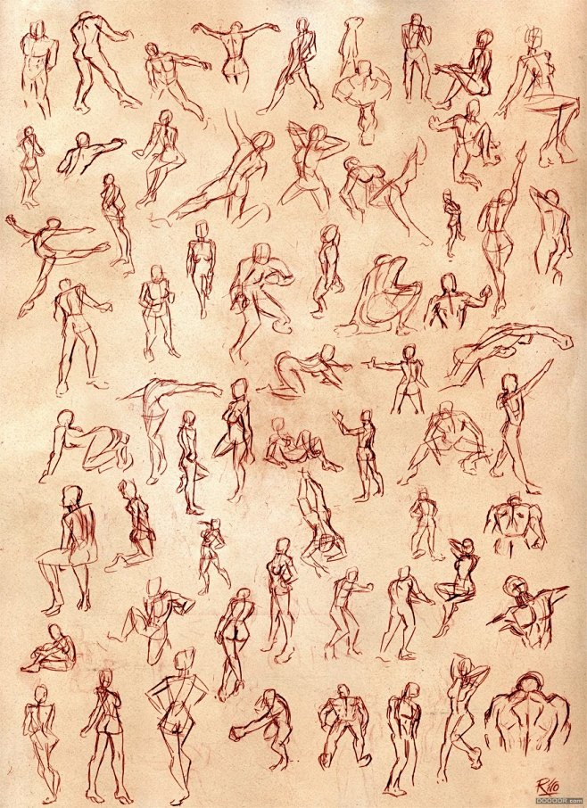 人体结构速写