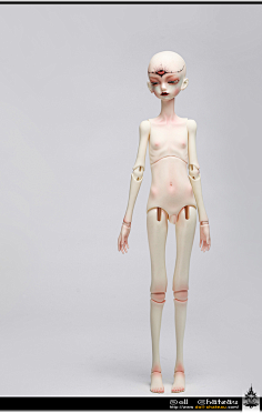 com 【doll-chateau】bjd娃娃-dc分素体(k-body-02)-淘宝网 1 item.