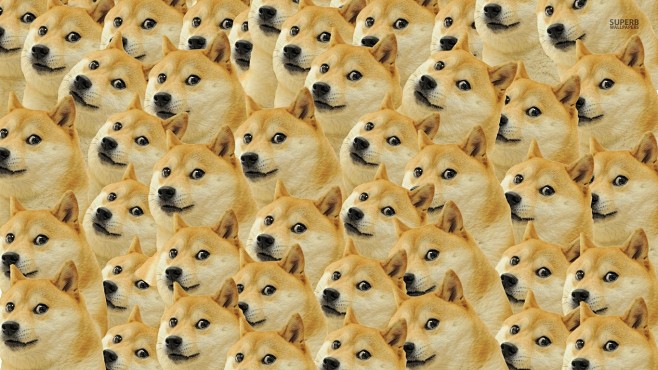 general1366x768dogememesfacedog