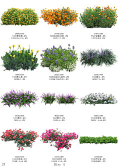 ps植物素材