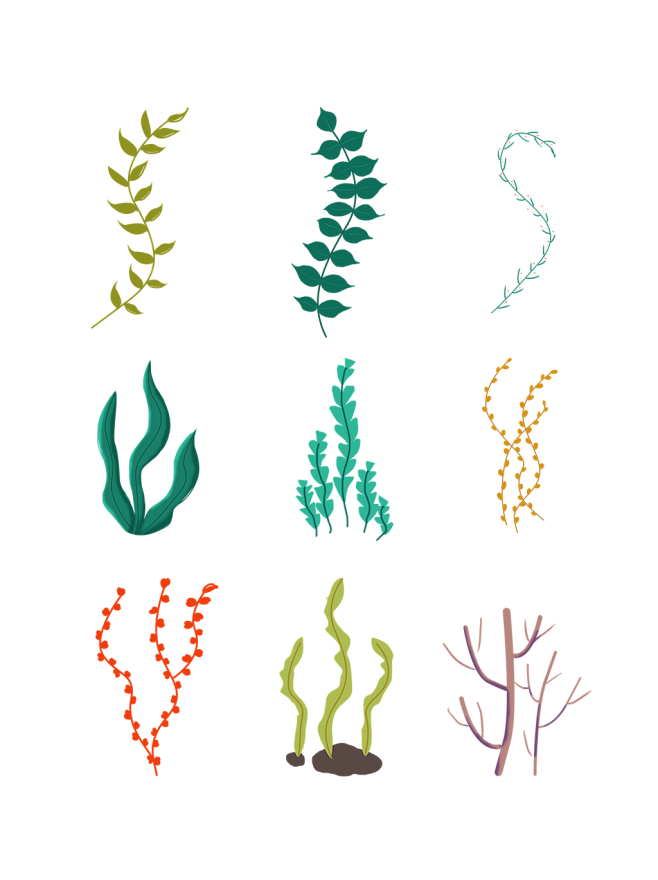 手绘海底绿色海草水草植物素材