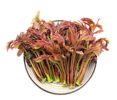 香椿100g