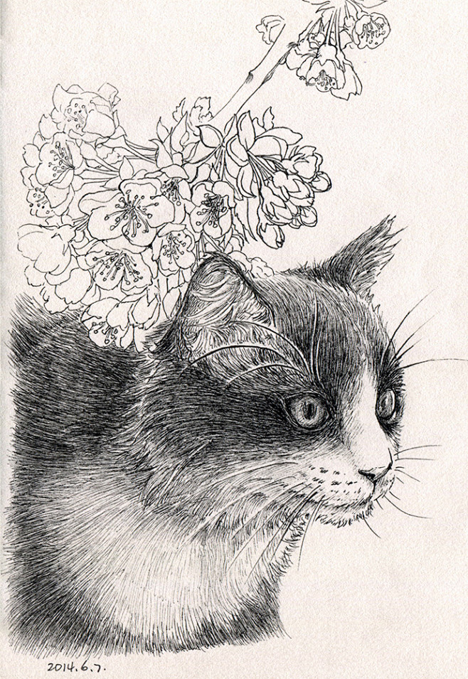 猫#  #针管笔画# #画