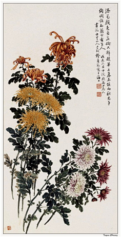 com 名家国画作品 —— 《菊花》 360doc.