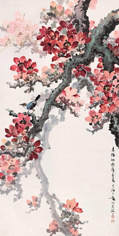 木棉花