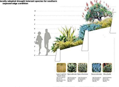 分析图植物