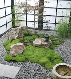 X-Missy-室内小景 小品