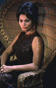 索菲亚 罗兰 sophia loren