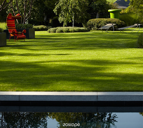 草坪zoscape草坪景观设计微地形设计景观意向图创意景观设计