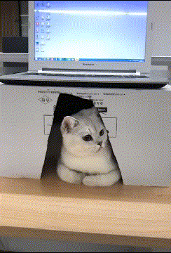 五禽戏画五禽戏画采集到鸟蛋1号  采集 jandan