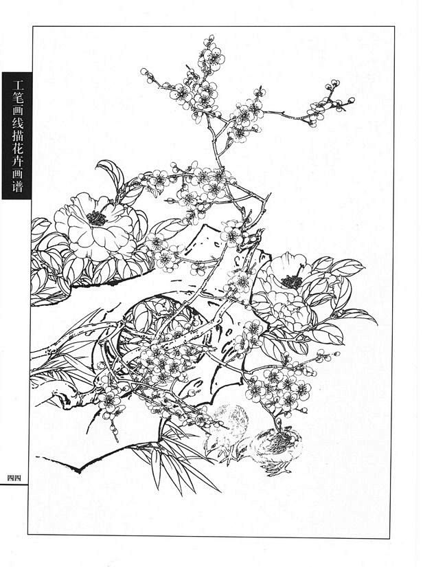 工笔画线描花卉画谱梅花篇