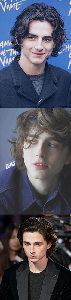 timothee chalamet