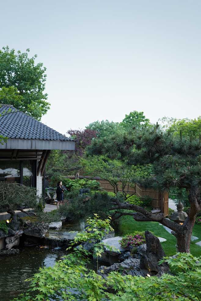 小庭院,景观空间