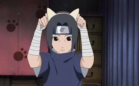 鼬