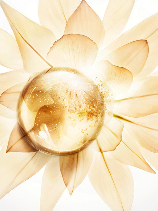 artworks list of category overview (candice milon)素材【゛_T℡