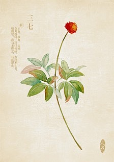 中草药