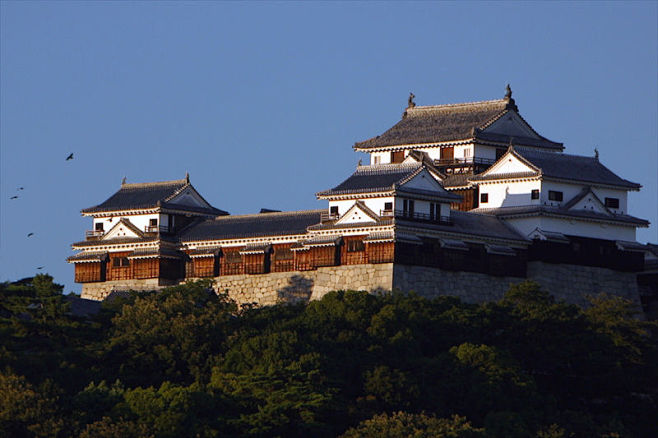 日本古城堡松山城