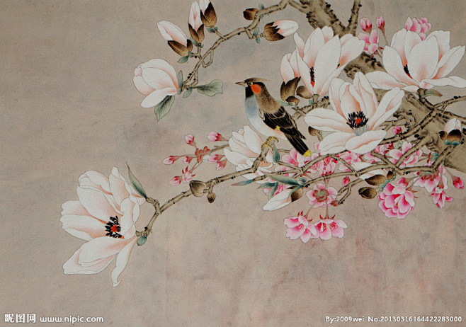 工笔画——玉兰花