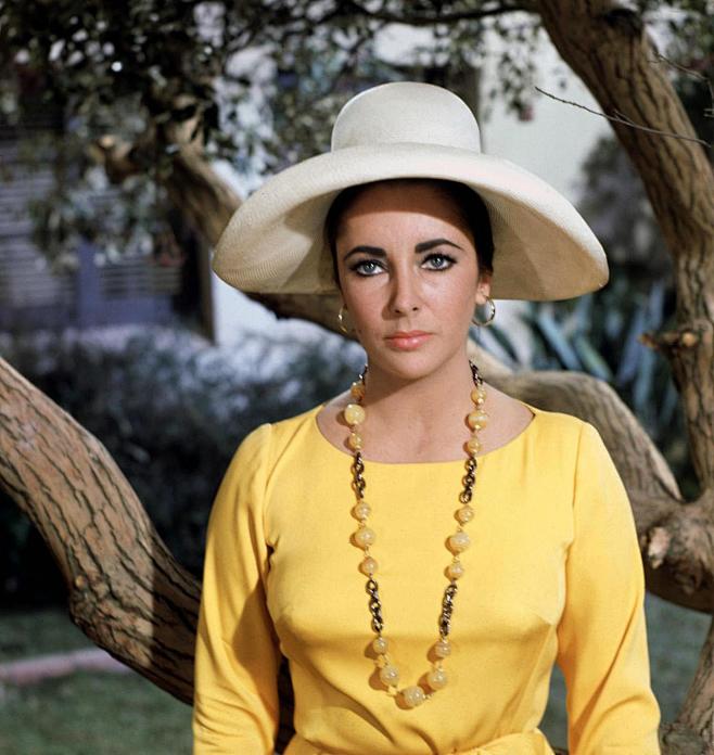 伊丽莎白泰勒elizabethtaylor