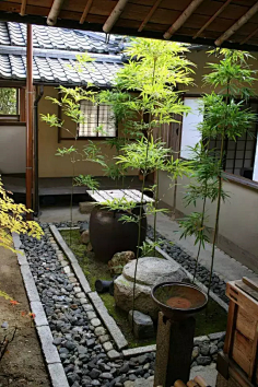 庭院天井