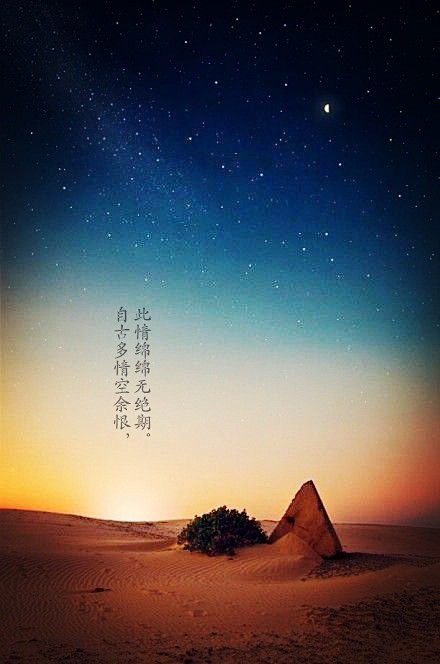 【NO.1】自古多情空余恨,此情绵绵无绝期。