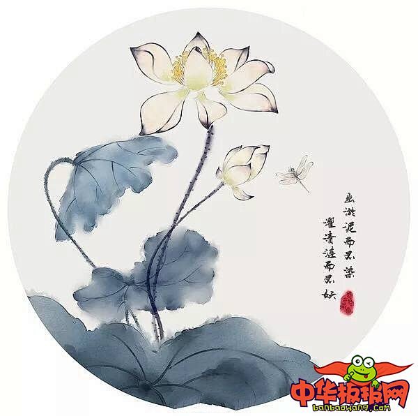 花卉素材-花瓣网|陪你做生活的设计师 | 荷花蜻蜓图